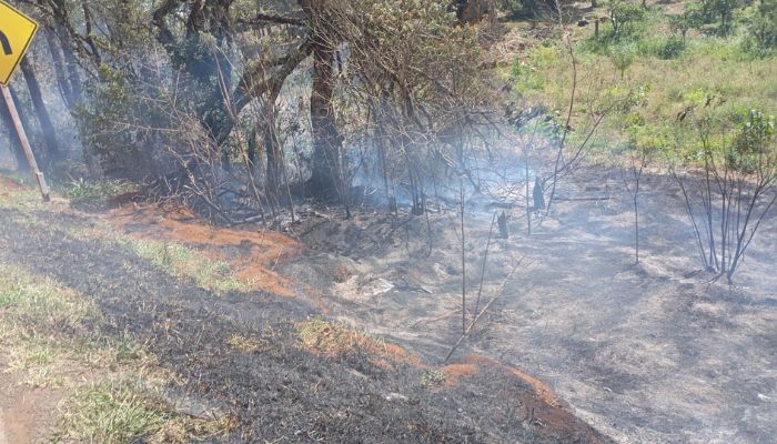 Guaraniaçu – Bombeiros combatem vários focos de incêndio 